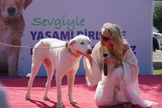 ÇEŞME’DE DÜNYA HAYVANLARI KORUMA GÜNÜ COŞKUYLA KUTLANDI