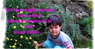 2017 Yılının Sağlık , Mutluluk , Barış ve Huzur  getirmesi temennisi ile iyi yıllar. Alaçatı Çiprika		