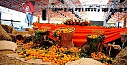 C Vitaminli Şenlik  Seferihisar’ın Turuncu Bayramı  20 Kasım’da