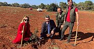Çeşme Sakızı