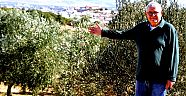 ÇEŞME’YE  YEŞİL HİZMET