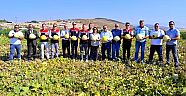 Foça'da 5. Geleneksel Kavun Hasat Şenliği Coşkuyla Kutlandı