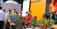 Ildırı begonvil ile donatılıyor!