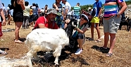 KARABURUN KIRKIM ŞENLİĞİ İLE RENKLENECEK