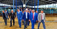 SÜTÜNÜZÜ 85-90 KURUŞTAN VERMEYİN