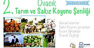 TARIM VE HAYVANCILIK OVACIK’TA HAYAT BULUYOR